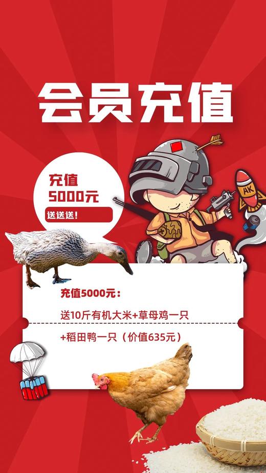 没有价格优势，只有真心与品质！【双十一充值链接】 商品图3