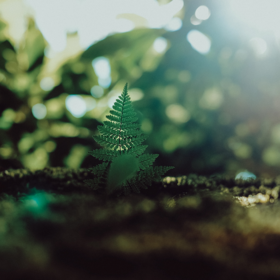 元气觉醒豪华套餐