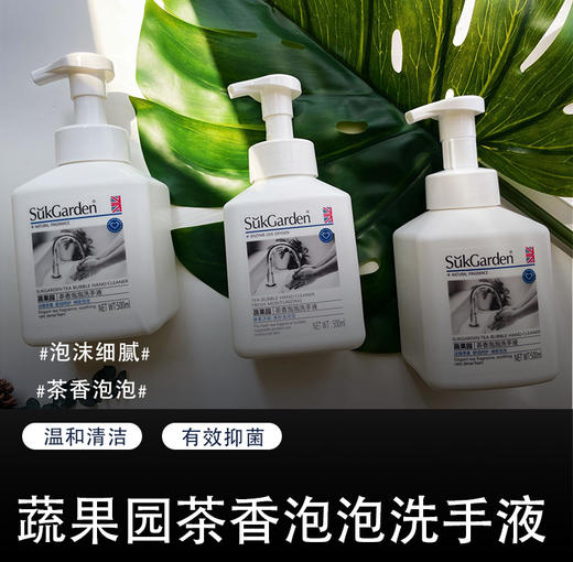 【72小时内发】【官网价29.9一瓶，我们29.9三大瓶500ml】【买一送二到手三瓶⚠️仅29.9/3瓶】快抢 ❕蔬果园洗手液去油清香温和婴儿清洁清爽厨房家用健康抑菌倍护滋润 商品图0