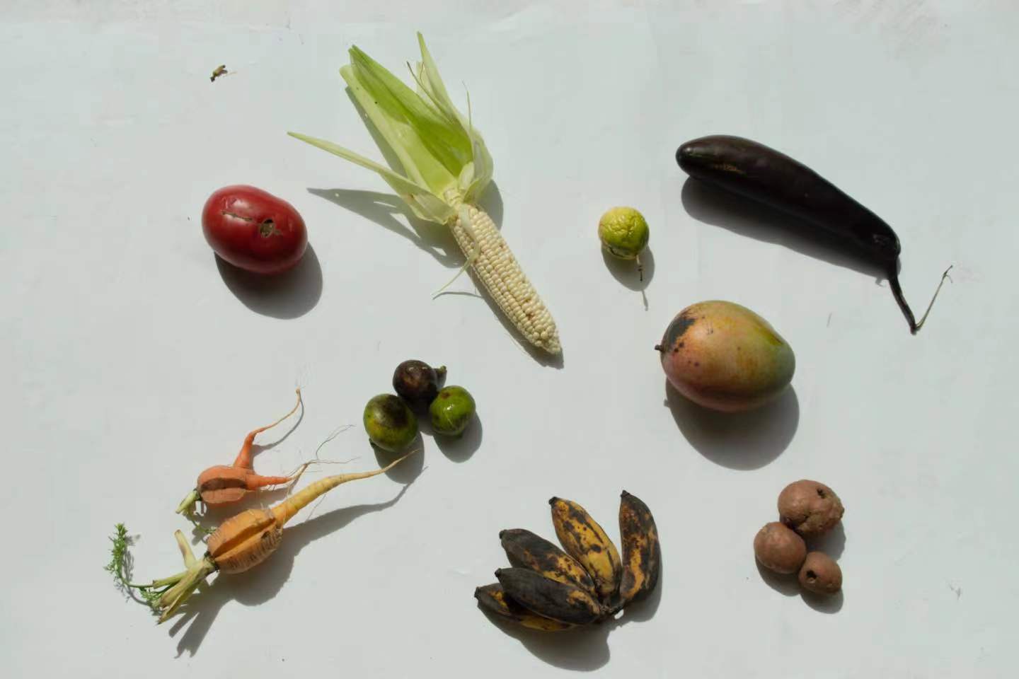 丑菜｜静物自产