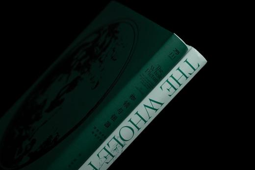 枷锁与银器：博物馆中的殖民历史 商品图6