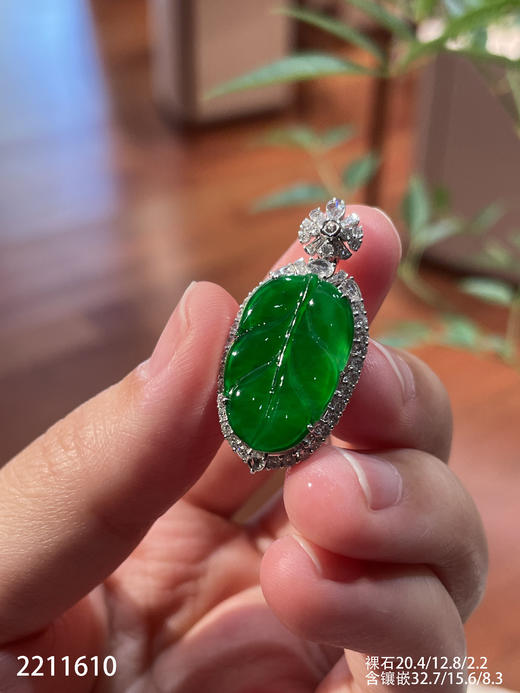 2211610，老坑高冰艳绿叶子吊坠。具体价格微信咨询 商品图2