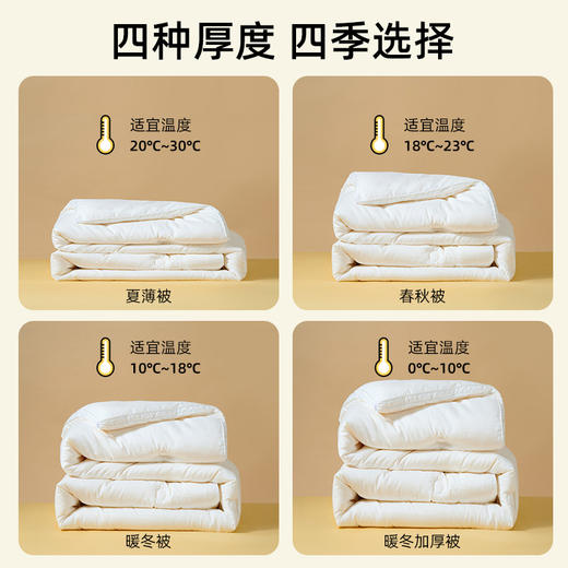 佳丽斯大豆纤维被纯棉加厚保暖A类抗菌被芯 商品图9