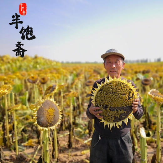 半宝斋瓜子 商品图11