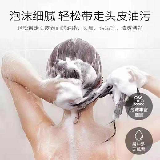 【中欧班列精选】英国生姜洗发水  The Body Shop 小铺生姜固养止痒去屑洗发水400ml/瓶 商品图6