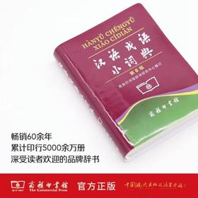 汉语成语小词典（第6版）