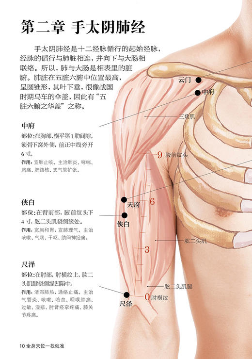 全身穴位一找就准 商品图1