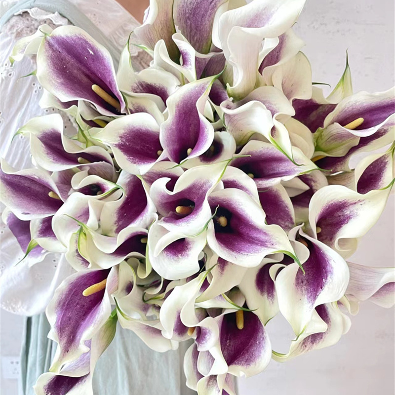 马蹄莲鲜切花5支多色可选