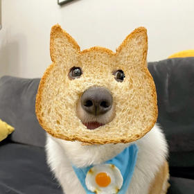 何小琛的商品11