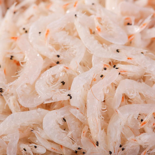 【顺航渔业】虾皮500g 商品图2