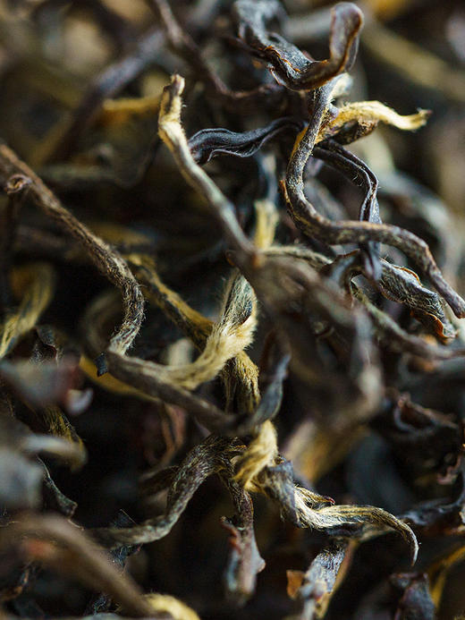 【2021年国际茶博会金奖】吉普号 东方美人 正宗云南凤庆滇红茶蜜香古树红茶 90g/罐 商品图1