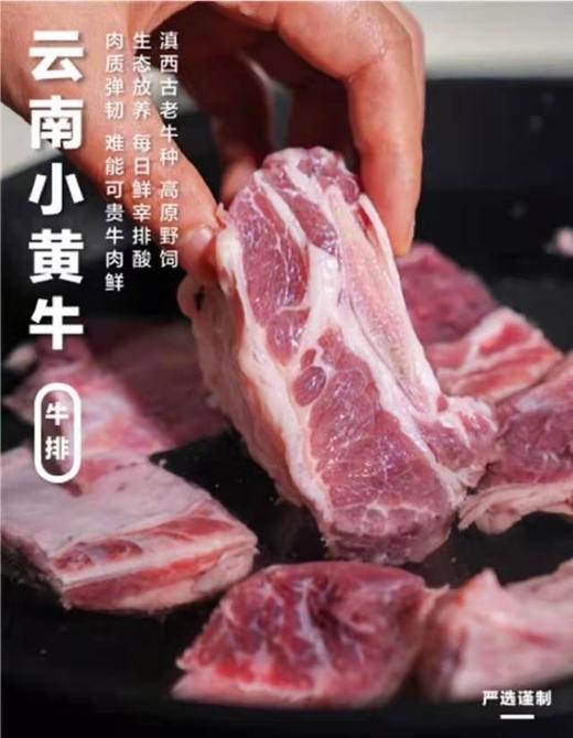 云南滇西小黄牛牛小排 商品图1