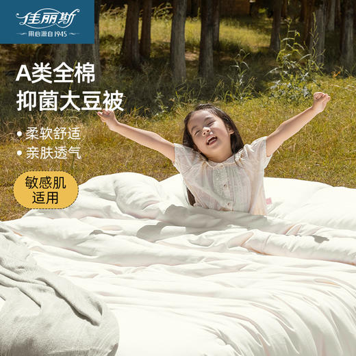 佳丽斯大豆纤维被纯棉加厚保暖A类抗菌被芯 商品图8