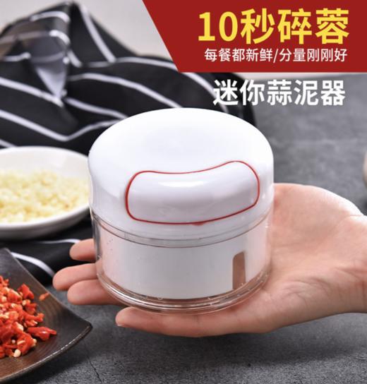 厨房迷你捣蒜泥 .sp 商品图0