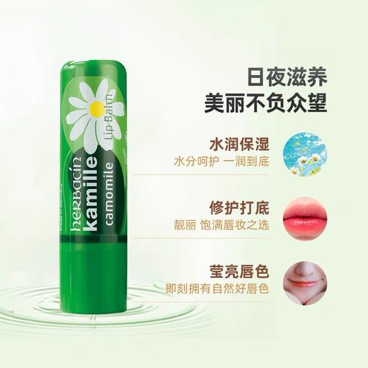 Herbacin德国贺本清小甘菊唇部修护润唇膏保湿滋润补水嘴唇防干裂无色孕妇4.8g 商品图1