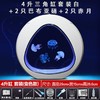 水母缸活物生态造景客厅桌面宠物卧室观赏鱼缸恒温养殖专用水族箱 商品缩略图5