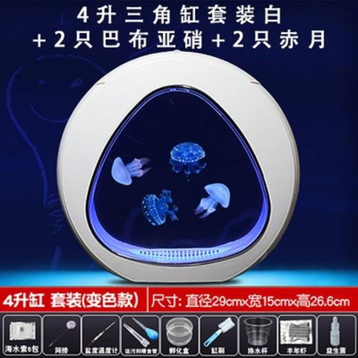 水母缸活物生态造景客厅桌面宠物卧室观赏鱼缸恒温养殖专用水族箱 商品图5