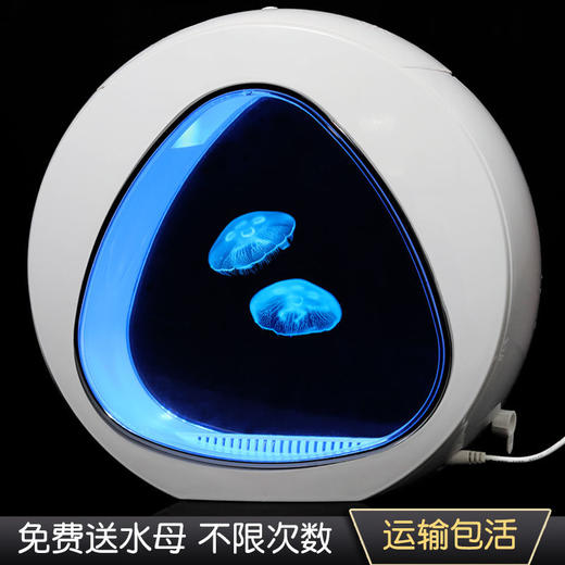 水母缸活物生态造景客厅桌面宠物卧室观赏鱼缸恒温养殖专用水族箱 商品图1