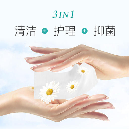 「100片装！独立包装」洋甘菊护理湿巾单片装 居家日用湿纸巾小包便携装清洁工具 商品图3