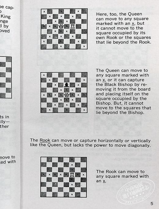 【中商原版】鲍比 费舍尔 国际象棋教程 Bobby Fischer Teaches Chess 英文原版 Stuart Margulies Don Mosenfelder 商品图5