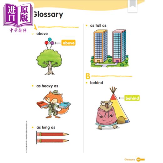 【中商原版】Math in Focus Grade 8 Course 3B 焦点数学 八年级下册套装 学生书+课外练习作业本 英文原版 美国HMH教材 小学新加坡数学 商品图6