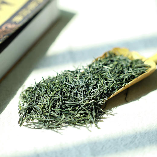 特尊毛尖2026明前新茶春茶绿茶好彩头礼盒400g 商品图3