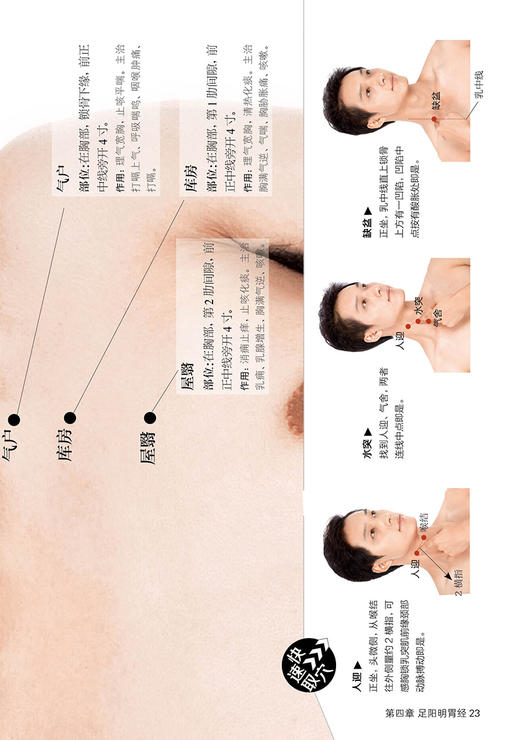 全身穴位一找就准 商品图6