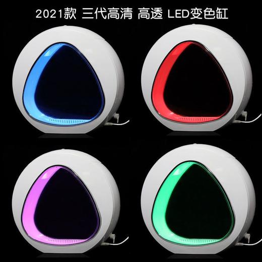 水母缸活物生态造景客厅桌面宠物卧室观赏鱼缸恒温养殖专用水族箱 商品图8