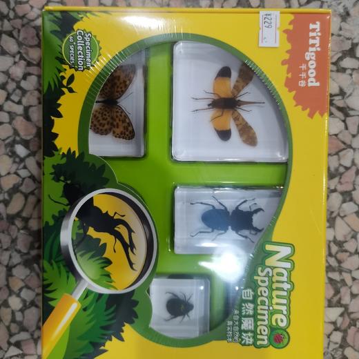 千千谷昆虫  2800339      【新】昆虫魔块组（1112） 商品图0