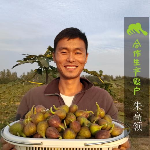 生态无花果干（芭劳奈） | 合作生产*Ecological dried figs｜Coproducted 商品图1