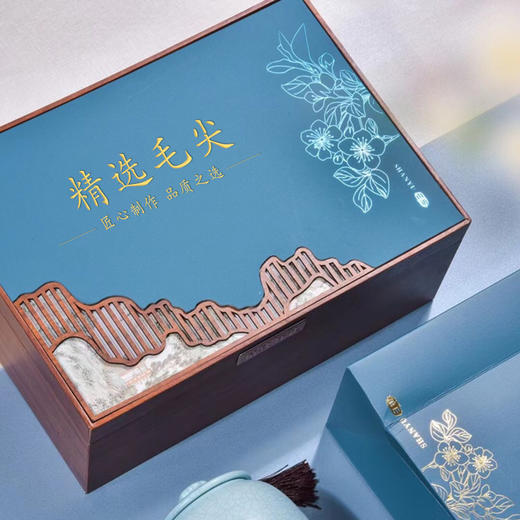 特尊2024新茶毛尖明前春茶高山绿茶山语陶瓷礼盒 商品图1