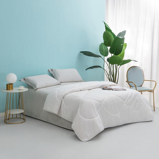 【分仓直发包邮】罗莱LOVO 亲肤大豆丝柔被 商品图2