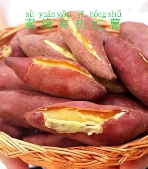 素缘有机红薯一箱【10斤装，有机认证】 商品图0