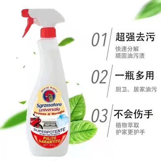 【3瓶装】意大利进口大公鸡管家经典款多能油污清洁剂 600ml/瓶 商品图1