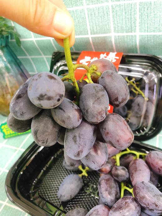 爆甜秋黑葡萄一盒（拼团） 商品图2