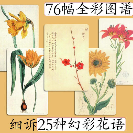 花逍遥 涩泽龙彦 著 日本暗黑美学大师博物型作家涩泽龙彦的群花札记 25种幻彩花语76幅精美插图 文学随笔集 商品图1