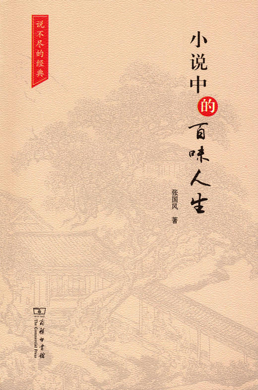 小说中的百味人生 商品图0