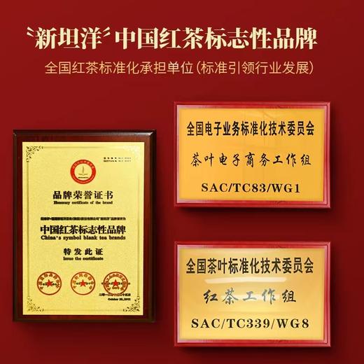 红茶丨坦洋工夫 2025年 新枞正宗小种红茶 礼盒装 200克 商品图4