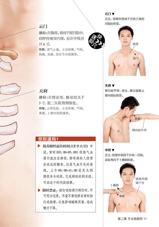 全身穴位一找就准 商品图2