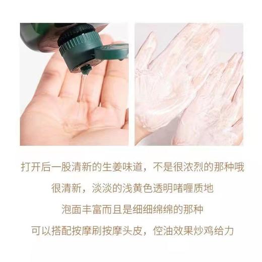 【中欧班列精选】英国生姜洗发水  The Body Shop 小铺生姜固养止痒去屑洗发水400ml/瓶 商品图4