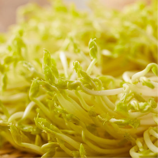 有机豌豆苗250g 商品图1