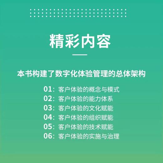 客户体验101：从战略到执行 刘胜强著企业管理销售管理书籍数字化转型管理体系市场营销文化建设 商品图3