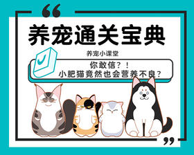 你敢信？！小肥猫竟然也会营养不良？