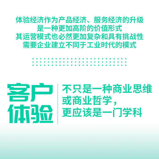 客户体验101：从战略到执行 刘胜强著企业管理销售管理书籍数字化转型管理体系市场营销文化建设 商品图2