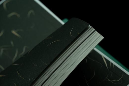 枷锁与银器：博物馆中的殖民历史 商品图9