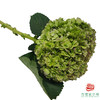 市场绣球 重瓣青秋 1枝 商品缩略图2