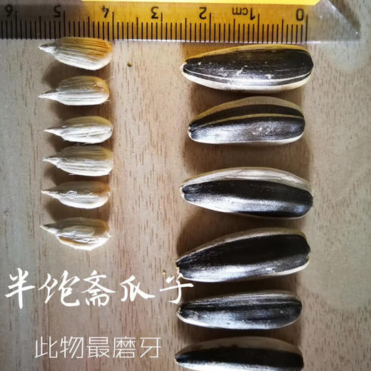 半宝斋瓜子 商品图9