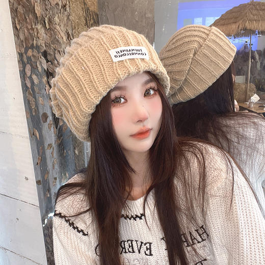 冬季帽子女针织帽百搭新款保暖防寒冷帽贴布字母时尚韩版毛线帽子 商品图1