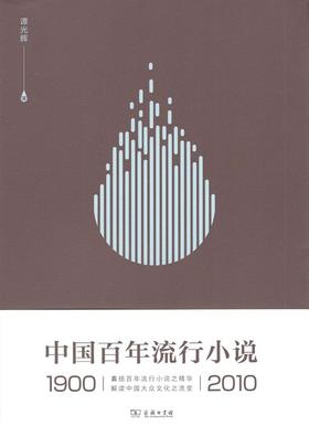 中国百年流行小说（1900—2010）谭光辉 著  商务印书馆