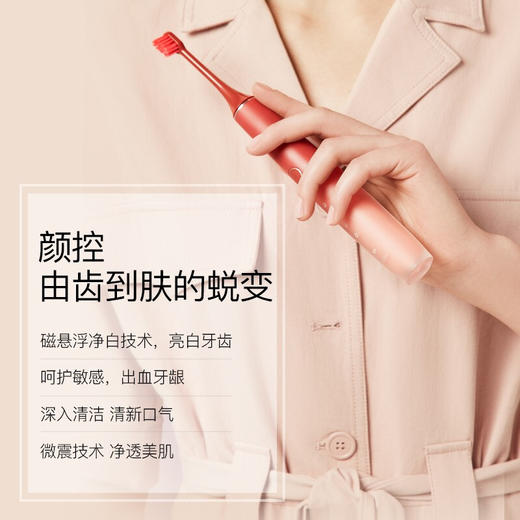 【分仓直发包邮】罗曼（ROAMAN）电动牙刷声波电动牙刷T40 商品图1